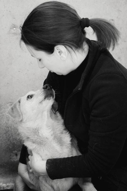 volontariato associazione animalista