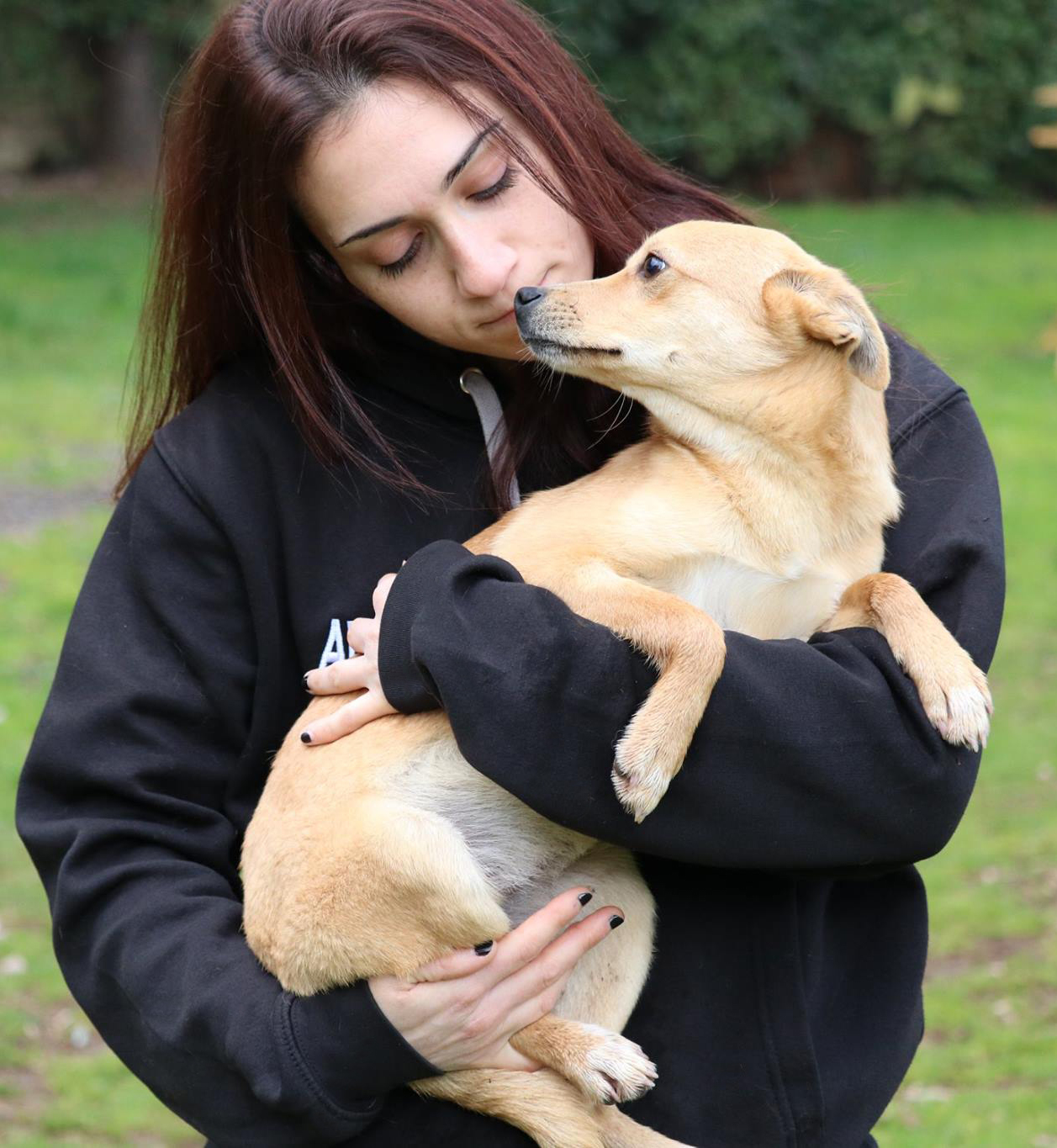adotta un cane dal canile