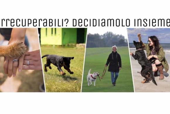 Parte il progetto “Irrecuperabili? Decidiamolo insieme!”