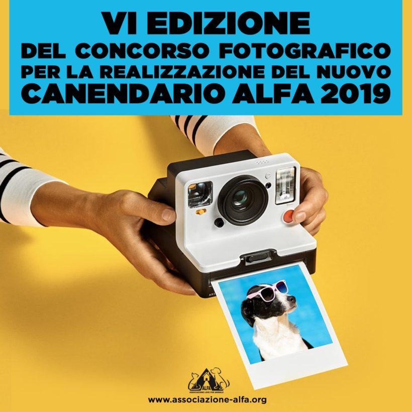 VI Edizione del concorso fotografico