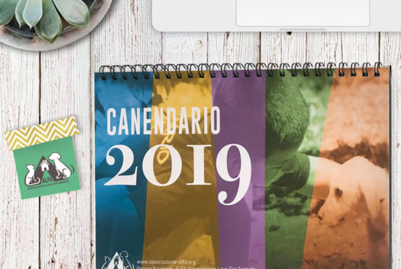 Canendario 2019 – Vincitori