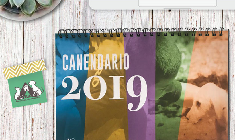 Canendario 2019 – Vincitori