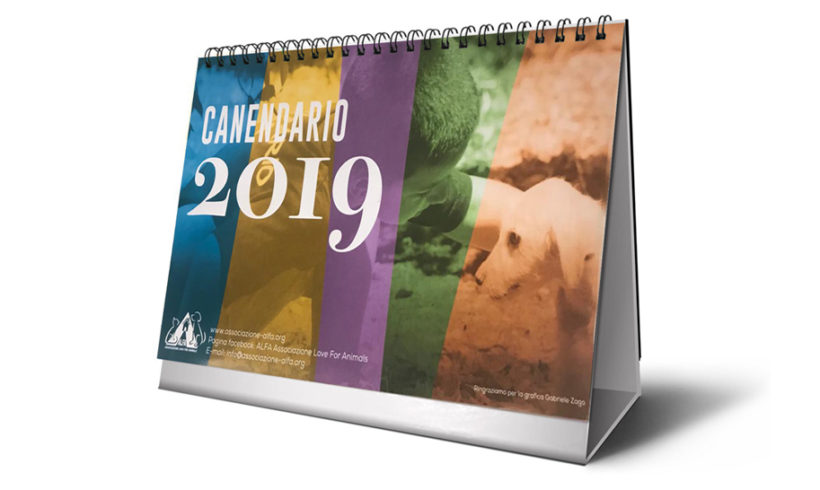 CANENDARIO – Calendario 2019 ALFA