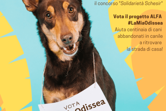Vota il progetto #LaMiaOdissea