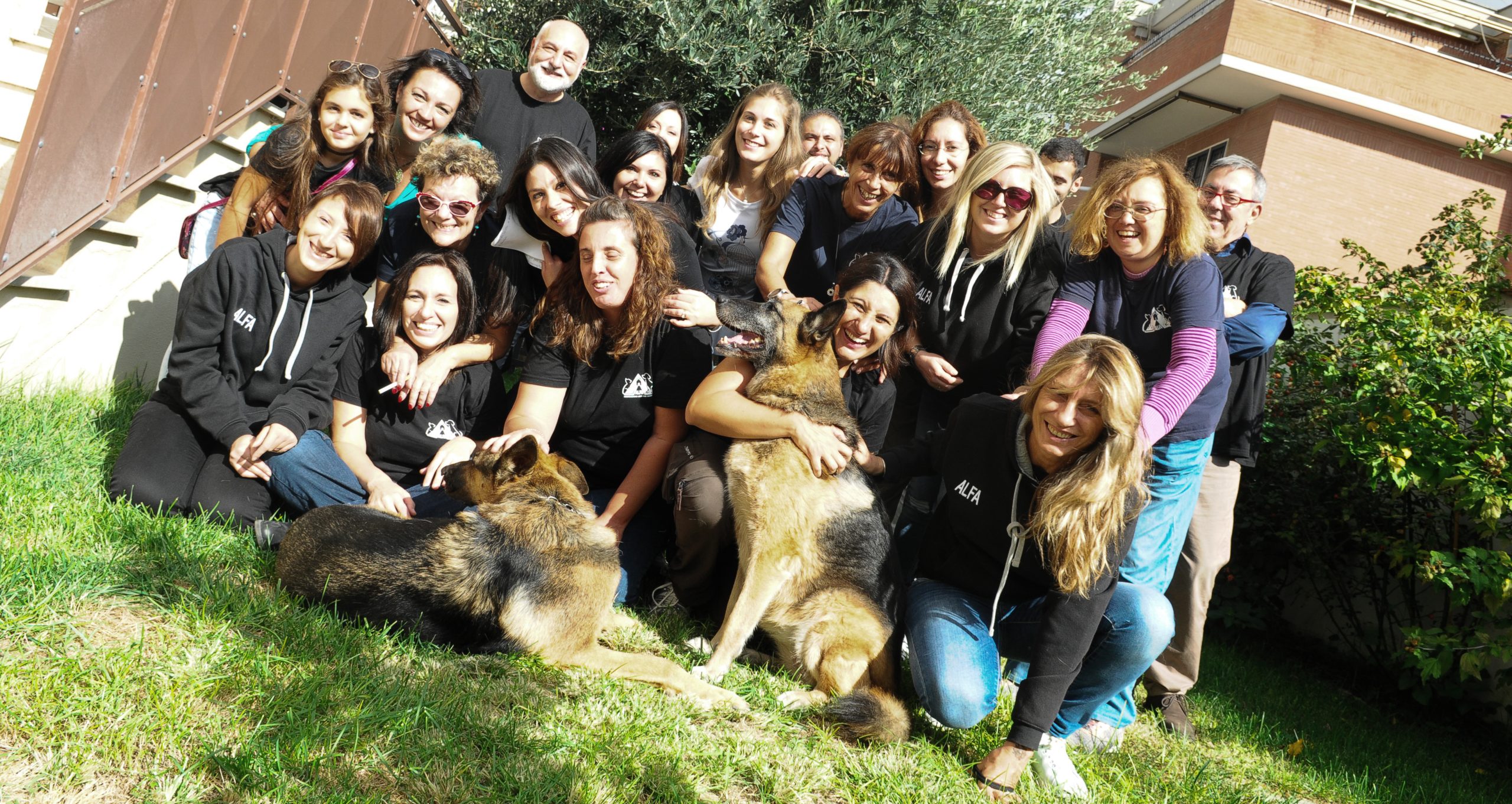 Diventa volontario ALFA Associazione Love For Animals