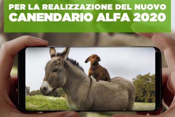 CANENDARIO 2020: VII Edizione del concorso fotografico