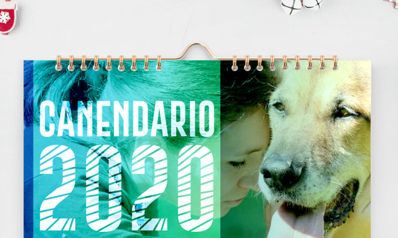 CaNendario 2020 – Vincitori