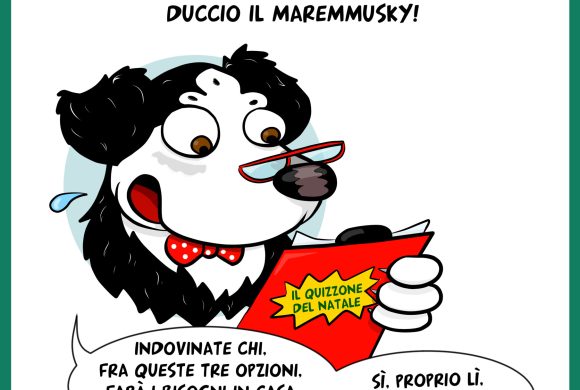 Quizzone del Natale – by Duccio il maremmusky