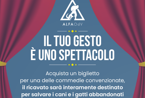 Teatro solidale con ALFA – Stagione 2024