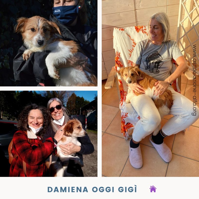 Damiena ora si chiama Gigì