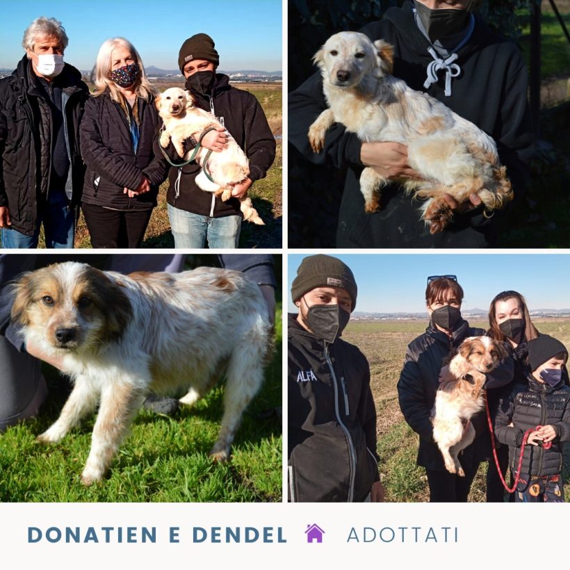 Un nuovo inizio per Donatien e Dendel Un nuovo inizio per Donatien e Dendel
