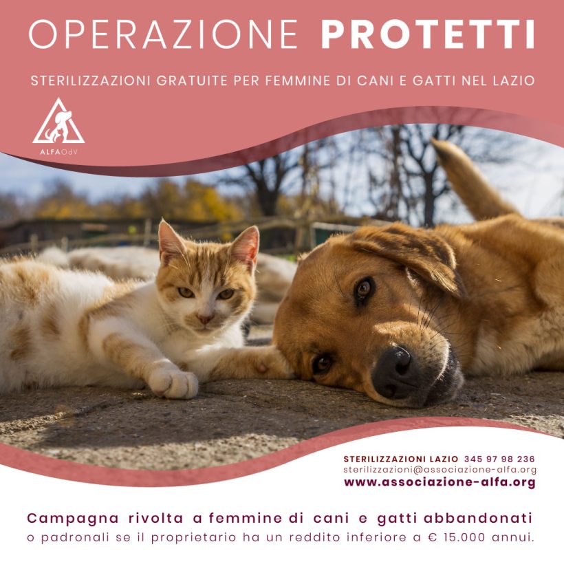 Nuove sterilizzazioni gratuite nel Lazio