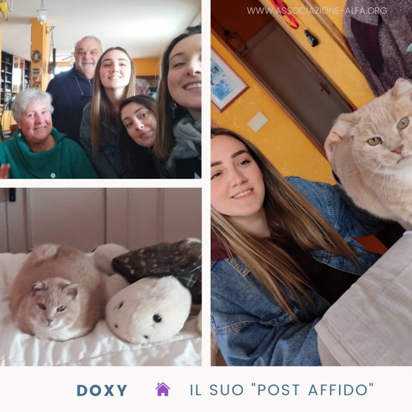 Doxy ci saluta da casa