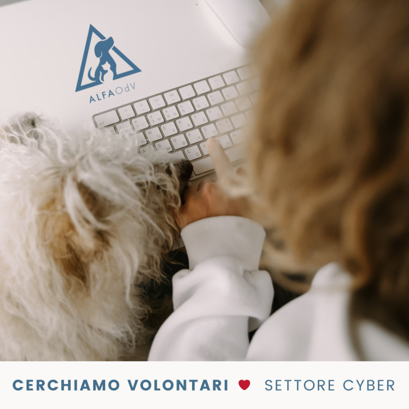 Reclutamento volontari settore Cyber