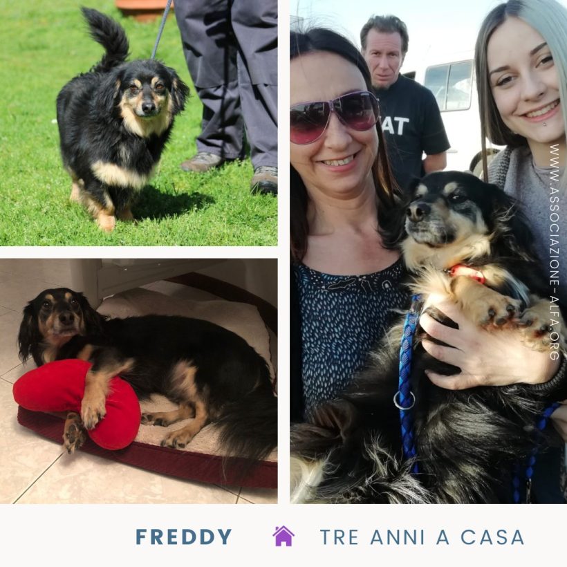 Freddy da tre anni a casa