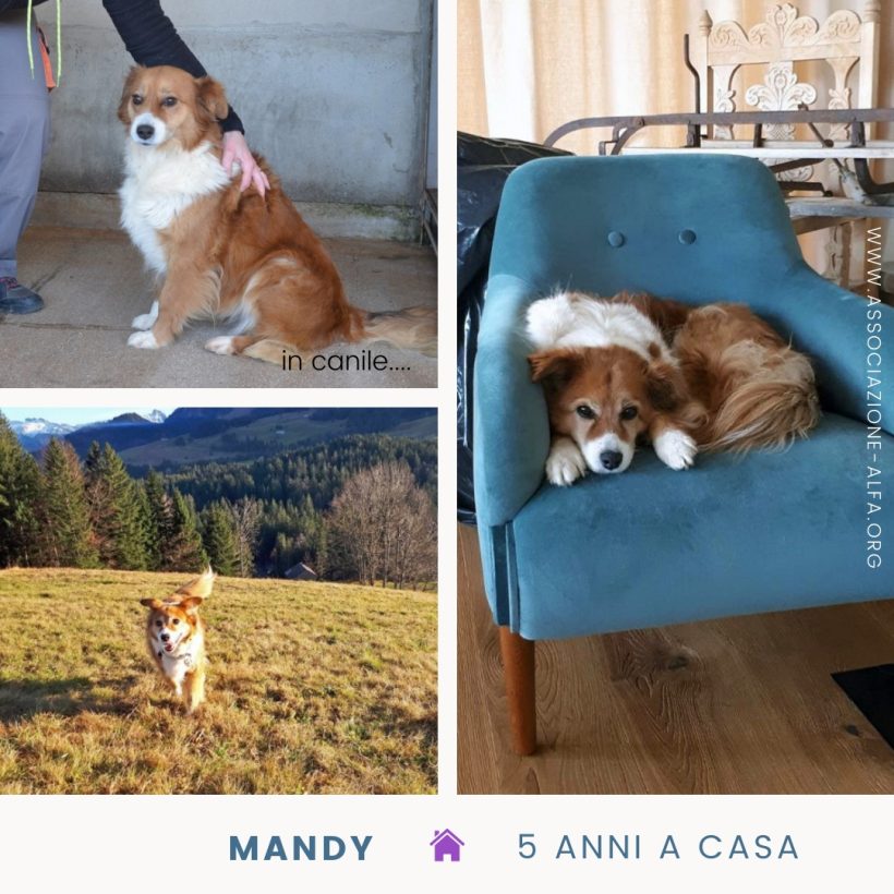 Mandy da cinque anni a casa