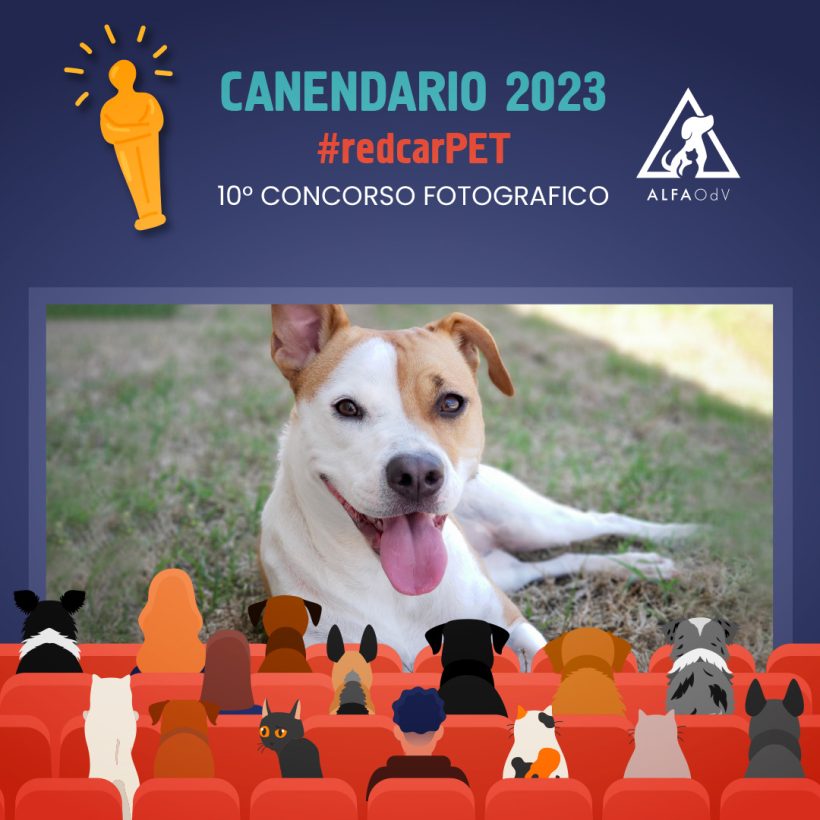 Canendario 2023 – X edizione del concorso fotografico