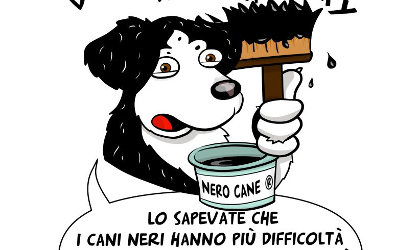 Adottare un cane nero – by Duccio il maremmusky