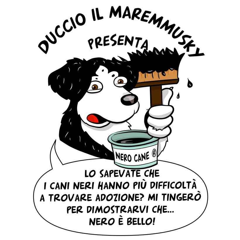 Adottare un cane nero – by Duccio il maremmusky