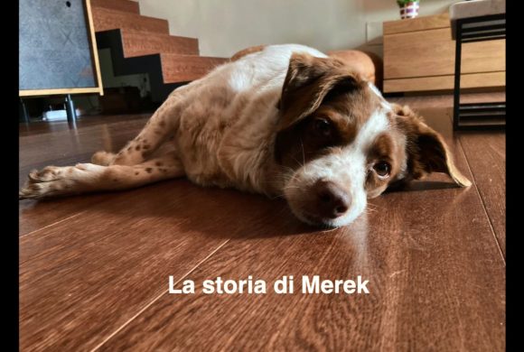 La storia del cuore di Merek