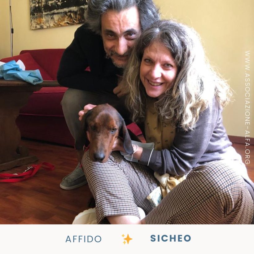 Una famiglia per Sicheo