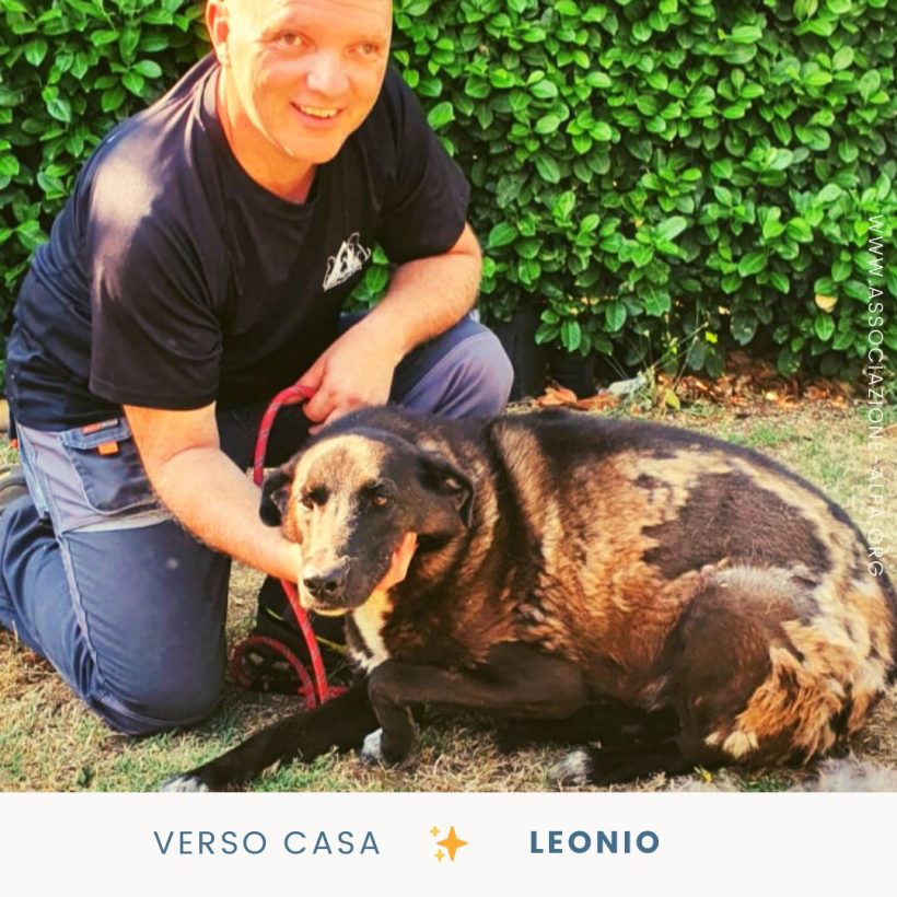 Leonio verso casa