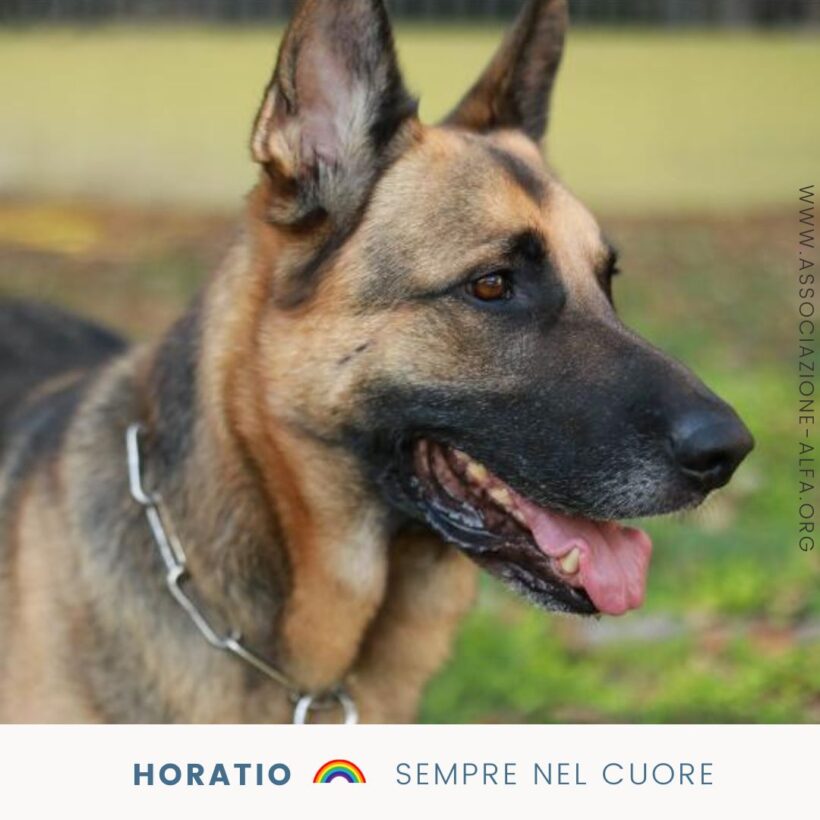 Horatio, sempre nel cuore!