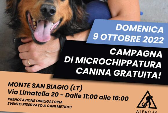 Microchip gratuito cani: domenica 9 ottobre a Monte San Biagio