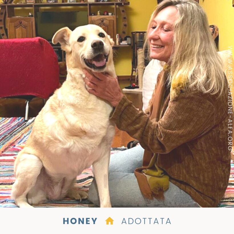 Honey da oggi Miele, insieme a Luisa!