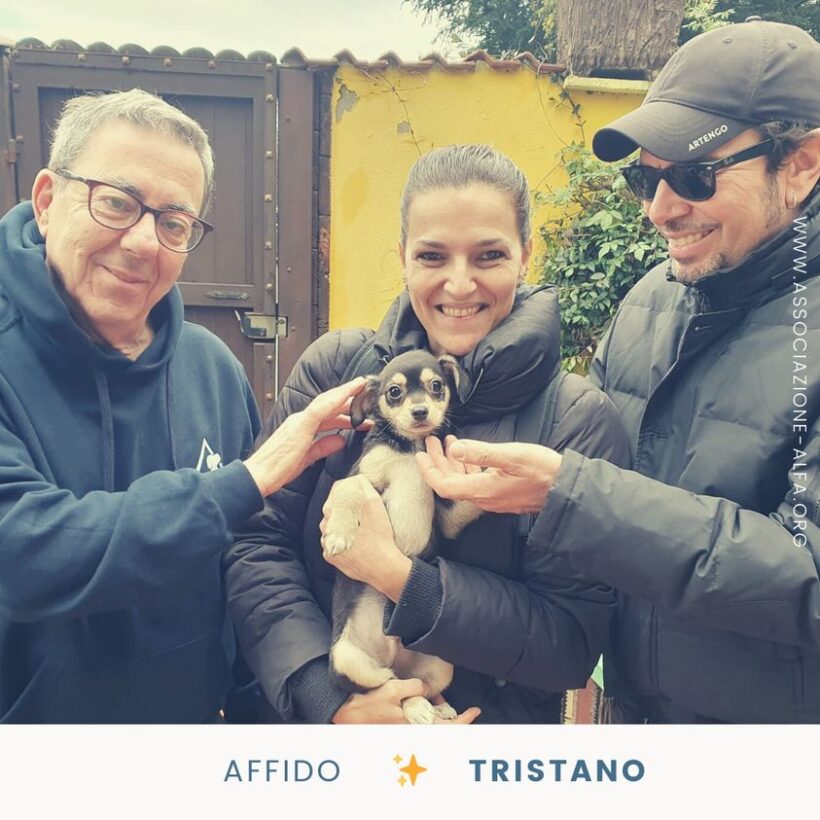 Tristano è stato adottato!