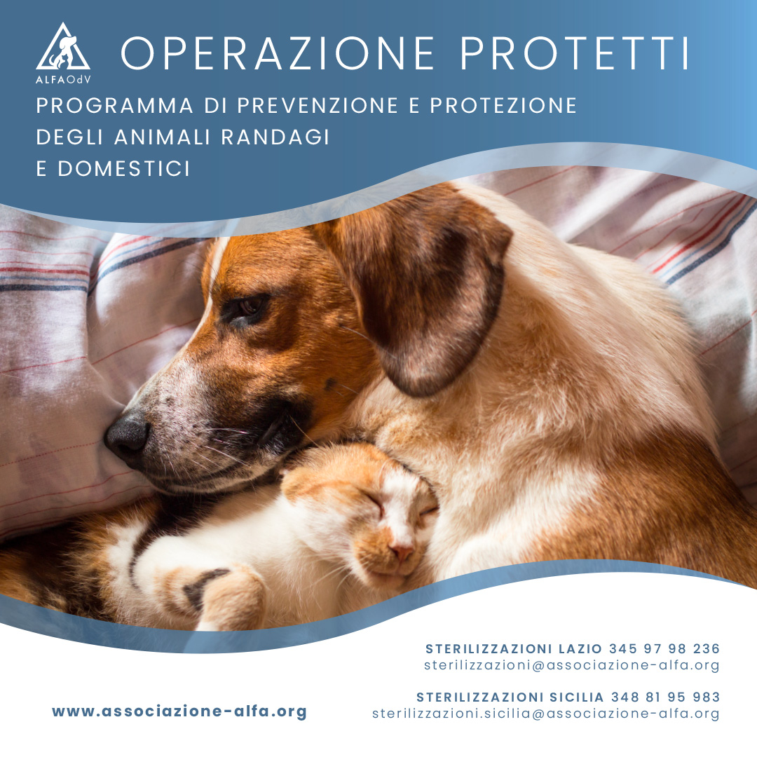 sterilizzazione gratuita