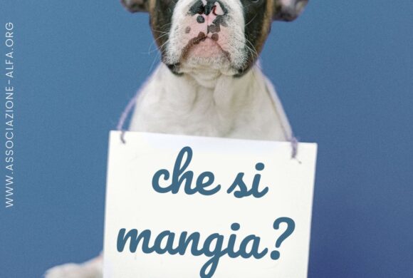 Cani e pappa: quali cibi evitare?