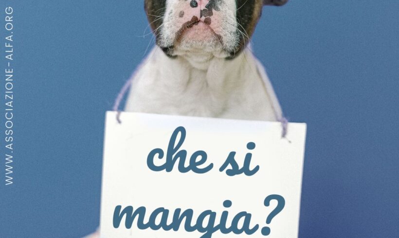 Cani e pappa: quali cibi evitare?