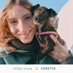 Cosetta, direzione casa!