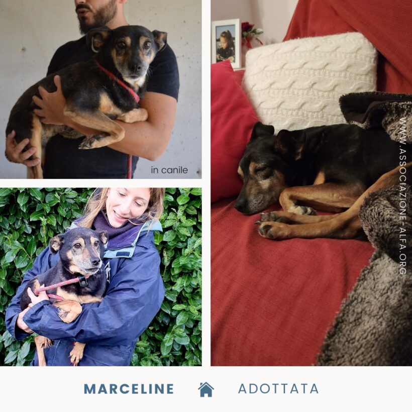 Marceline ed il suo lieto fine