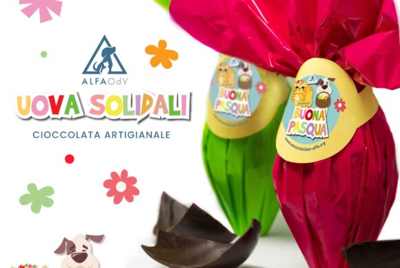 Regali solidali di Pasqua nelle piazze di Roma 2023 Regali solidali di Pasqua nelle piazze di Roma 2023