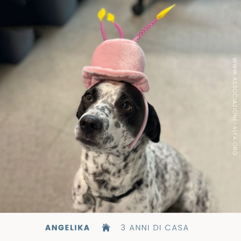 Angelika, da tre anni a casa!