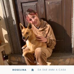 Roselina da due annni a casa!