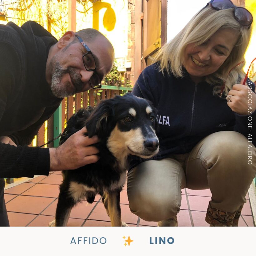 Mai più gabbia per Lino!