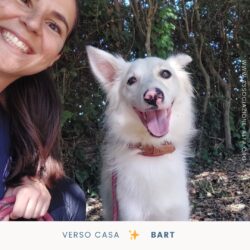 Bart, verso casa!