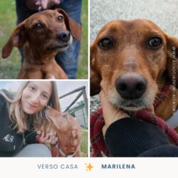 Mai più gabbia per Marilena
