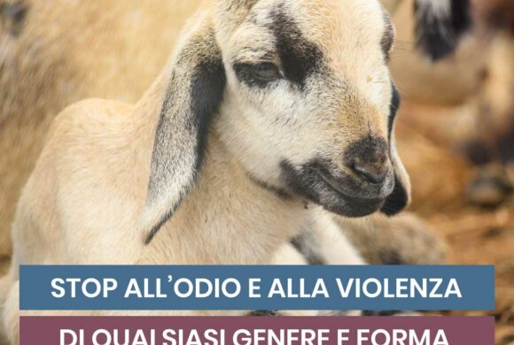 Stop all’odio e alla violenza, di ogni genere e forma