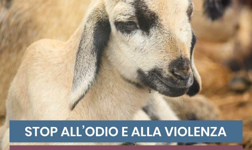 Stop all’odio e alla violenza, di ogni genere e forma