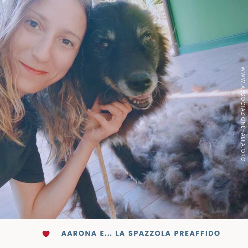 Mai più gabbia per Aarona