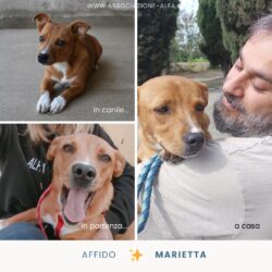 Una nuova vita per Marietta