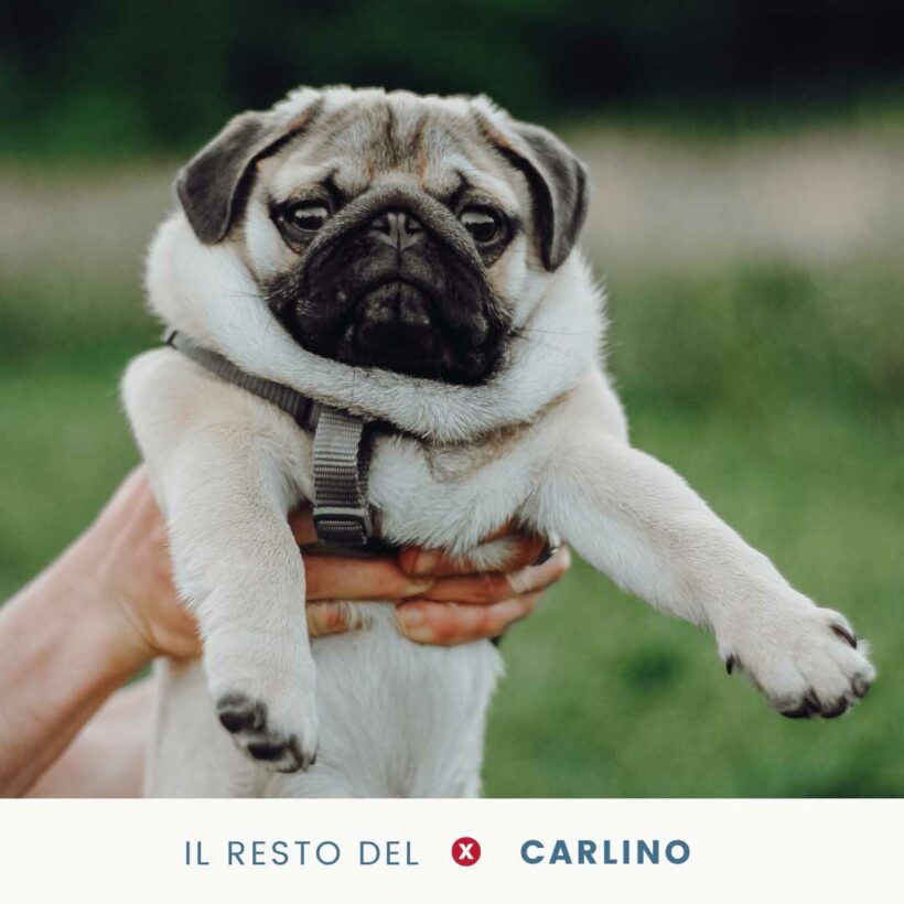 Il resto del… carlino