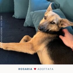 Rosaria ci saluta da casa