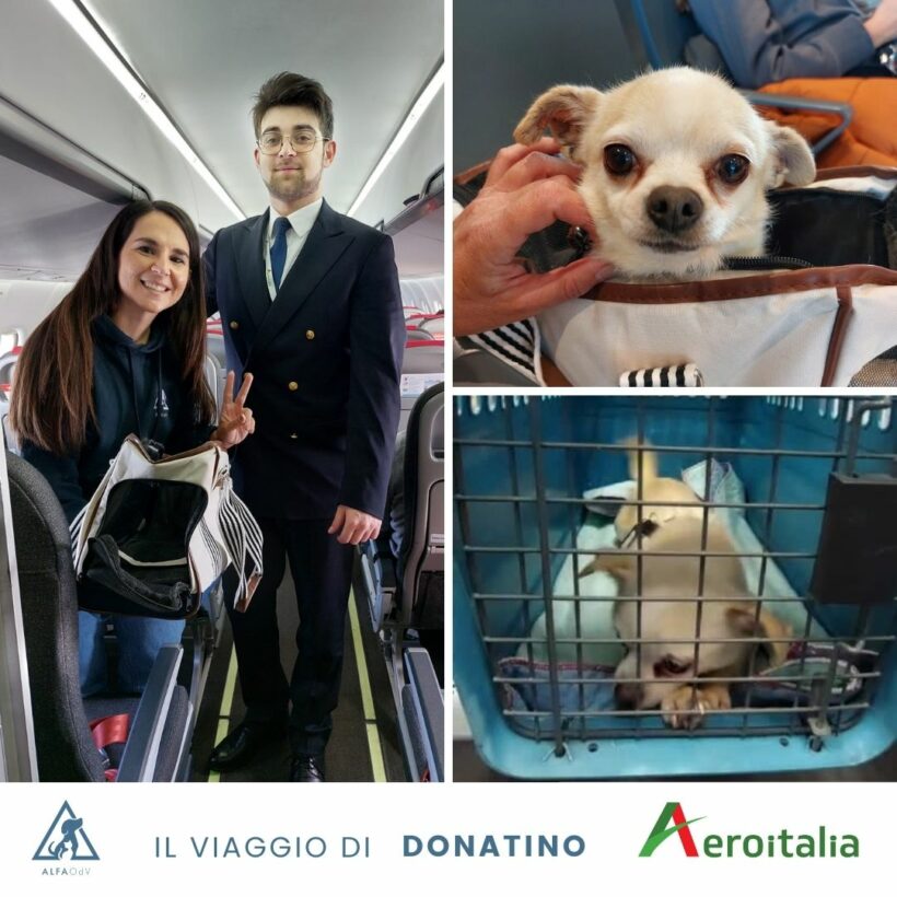 Donatino in volo verso la rinascita grazie ad Aeroitalia