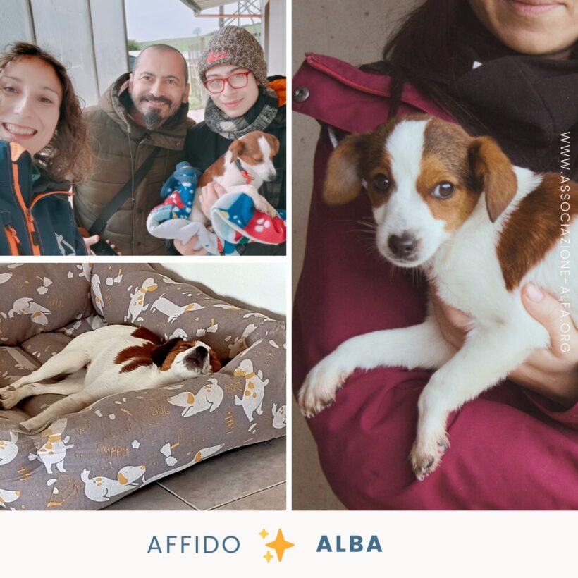 La piccola Alba va a casa!