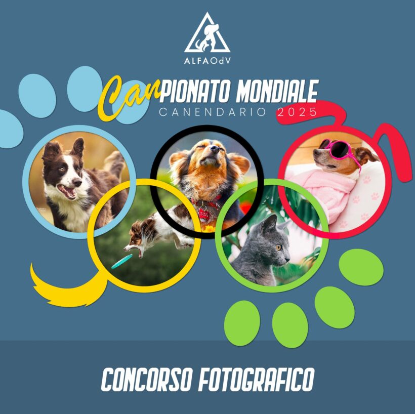 Canendario 2025 – 12° edizione del concorso fotografico